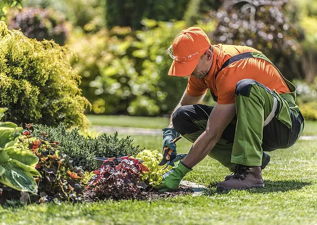 Mantenimiento de jardin